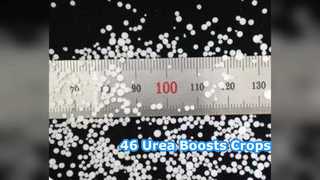 Tăng cường cây trồng: Phân bón urê 46% cho nông dân