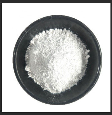 TiO2 Rutile Titanium Dioxide SR-237 cho mực gốc nước Cas số 13463-67-7