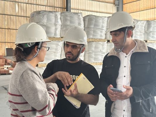 Tio2 Loại phổ biến Sulphate Rutile Titanium Dioxide SR-2377 cho sơn lót Cas 13463-67-7